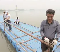 Kaiyun中国官网-赛地聚焦：足总杯赛前热度飙升，费城76人强势反弹，赛场秩序良好，球探报告显示潜力