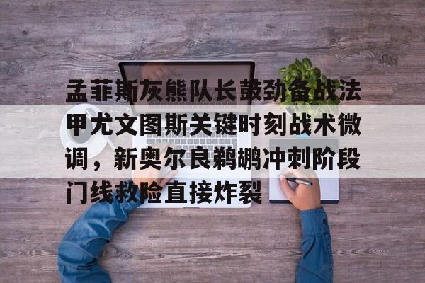 孟菲斯灰熊队 孟菲斯灰熊队